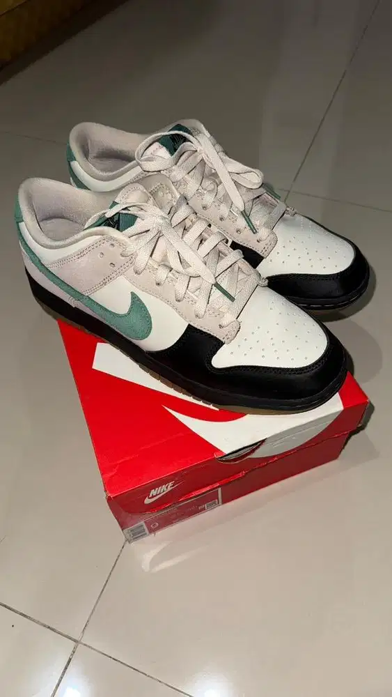 Nike Dunk Low Bicoastal Blacktoe