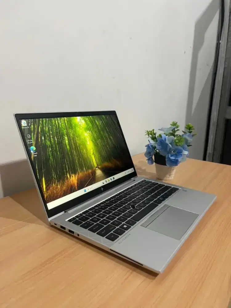 HP PROBOOK 445 G8 R5 PRO 5600 RAM 8GB SSD 256GB