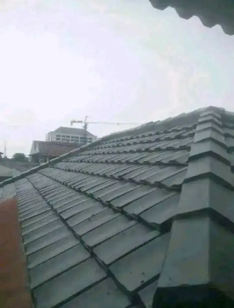 TukanG atap Rmh Yg BocoR.dak rembes