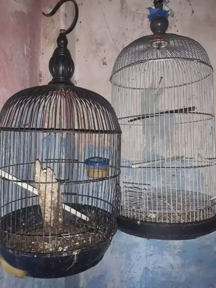 Sangkar besui sekend