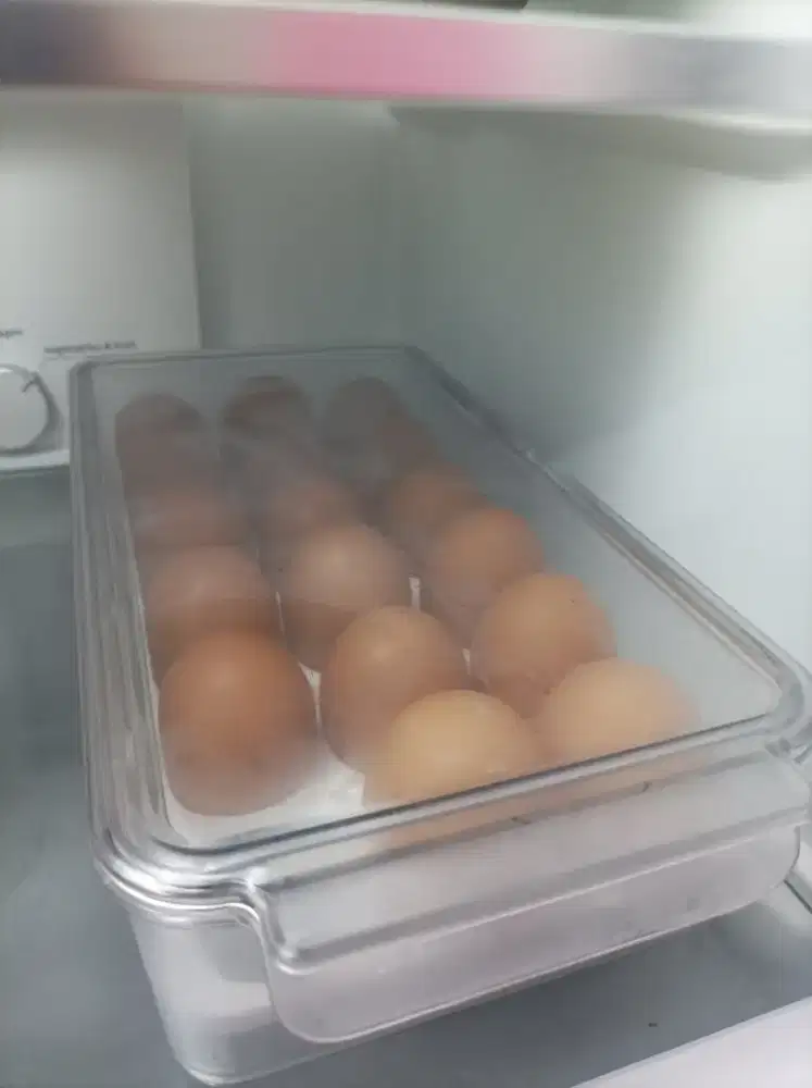 egg storage/box penyimpanan telur/wadah telur 18 butir brand dekoruma