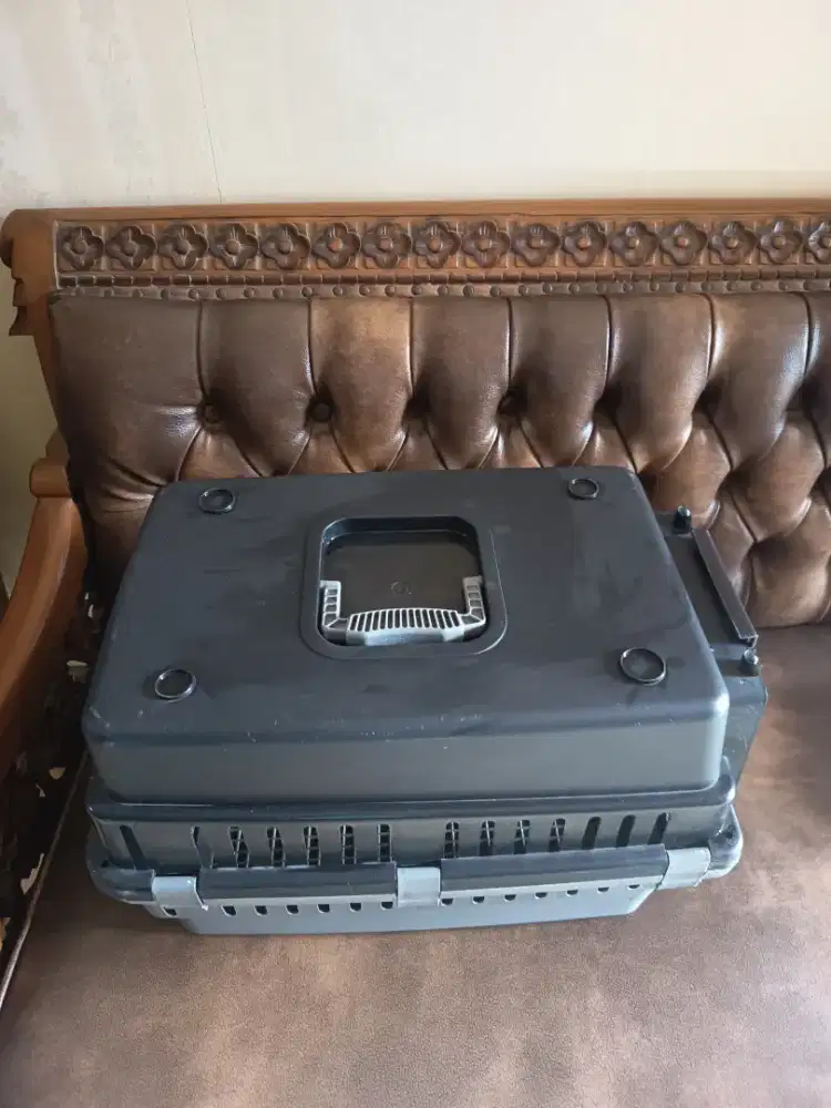 Kandang kucing / anjing pet cargo