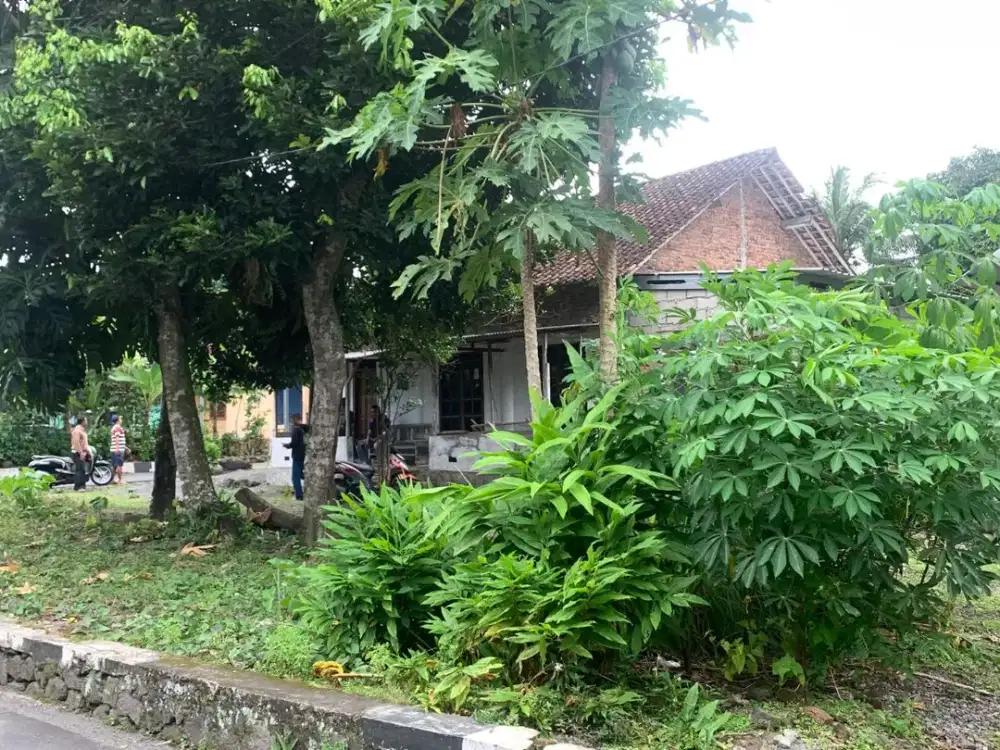 DIJUAL TANAH SHM PEKARANGAN LOKASI PANASAN