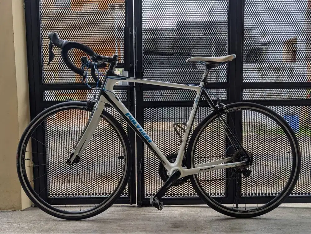 NOT TREK, CERVELLO, SPECIALIZED. BUT POLYGON HELIOS C6 (UCI CERTIFIED)