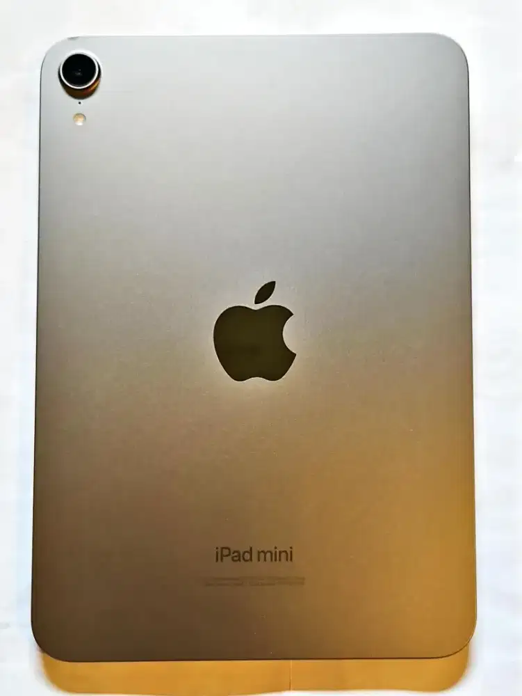 Ipad Mini 7 256 GB