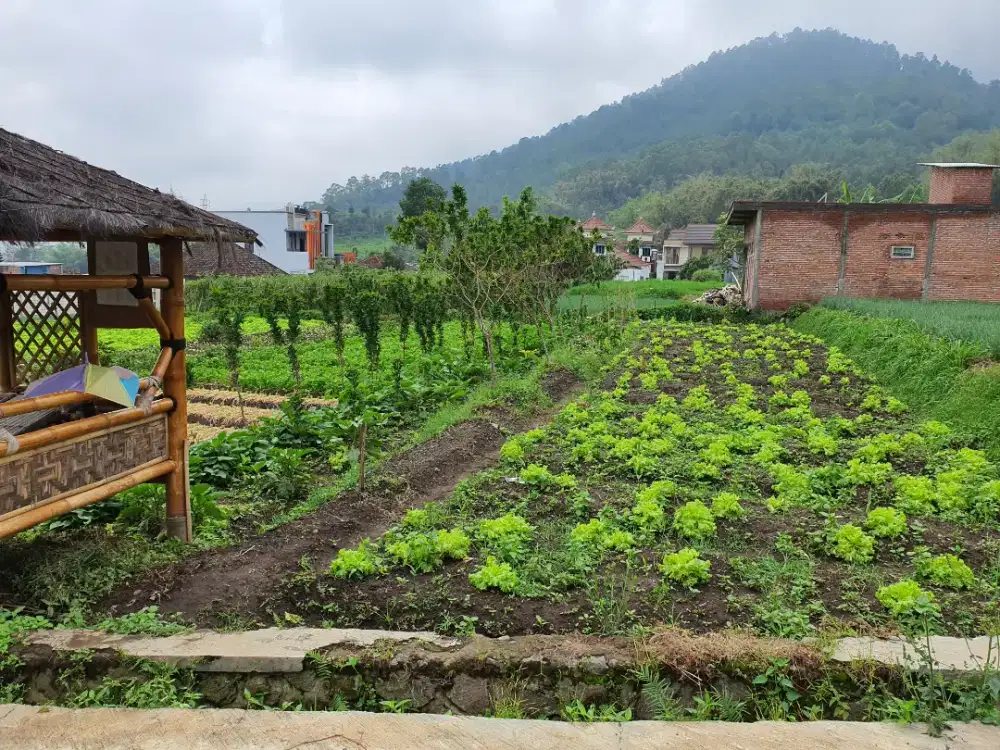 jual tanah harga 3,5 jt per meter di batu letak strategis