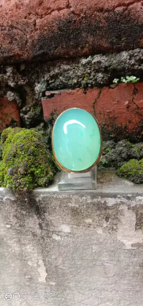 Batu anggur ijo jumbo