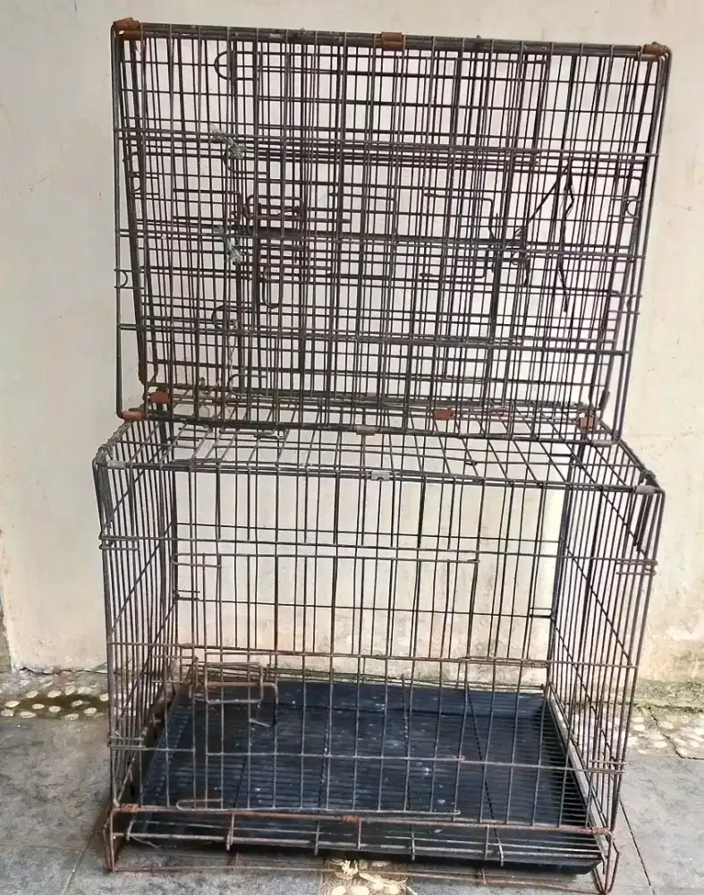 Kandang kucing/ ayam 2 set