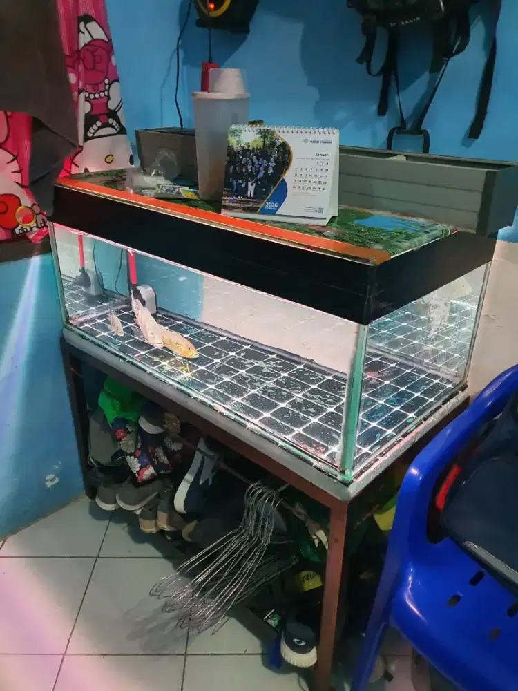 Aquarium rak ikan