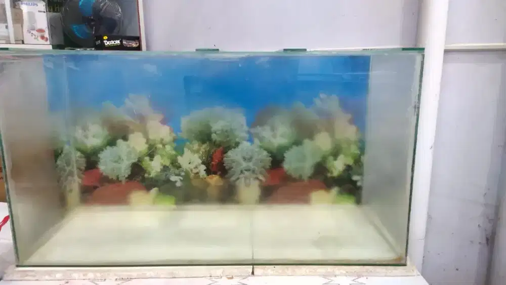 Akuarium / Aquarium Hias 1 meter