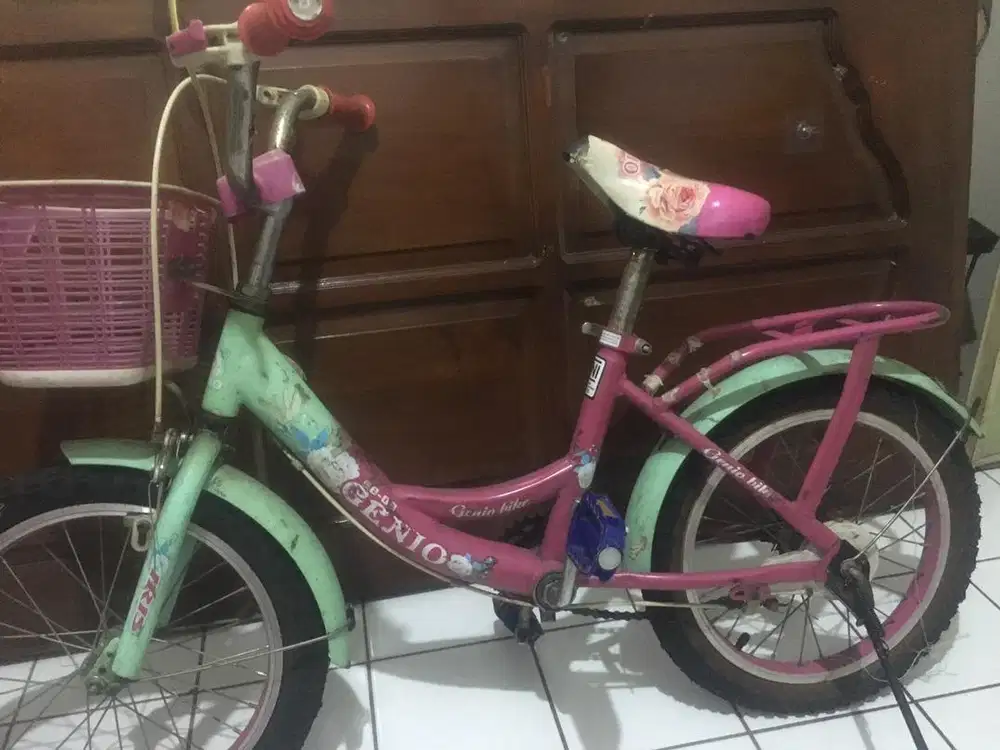Sepeda anak cewek 16
