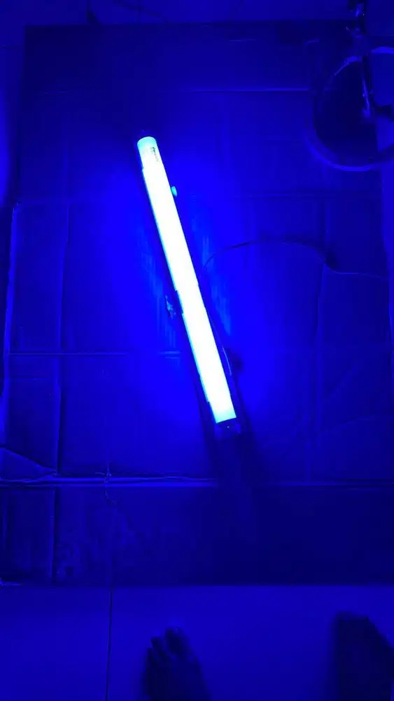 Lampu Terapi Bayi Kuning/Bilirubin Philips 20W