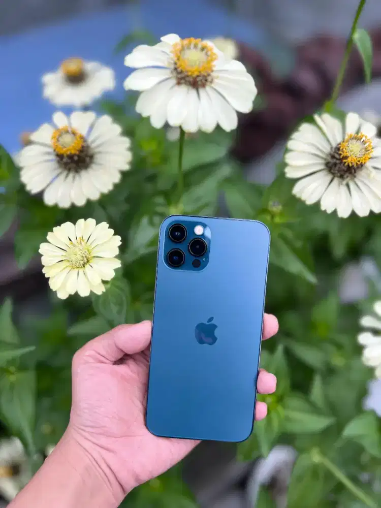 iPhone 12 Pro 256gb No Minus