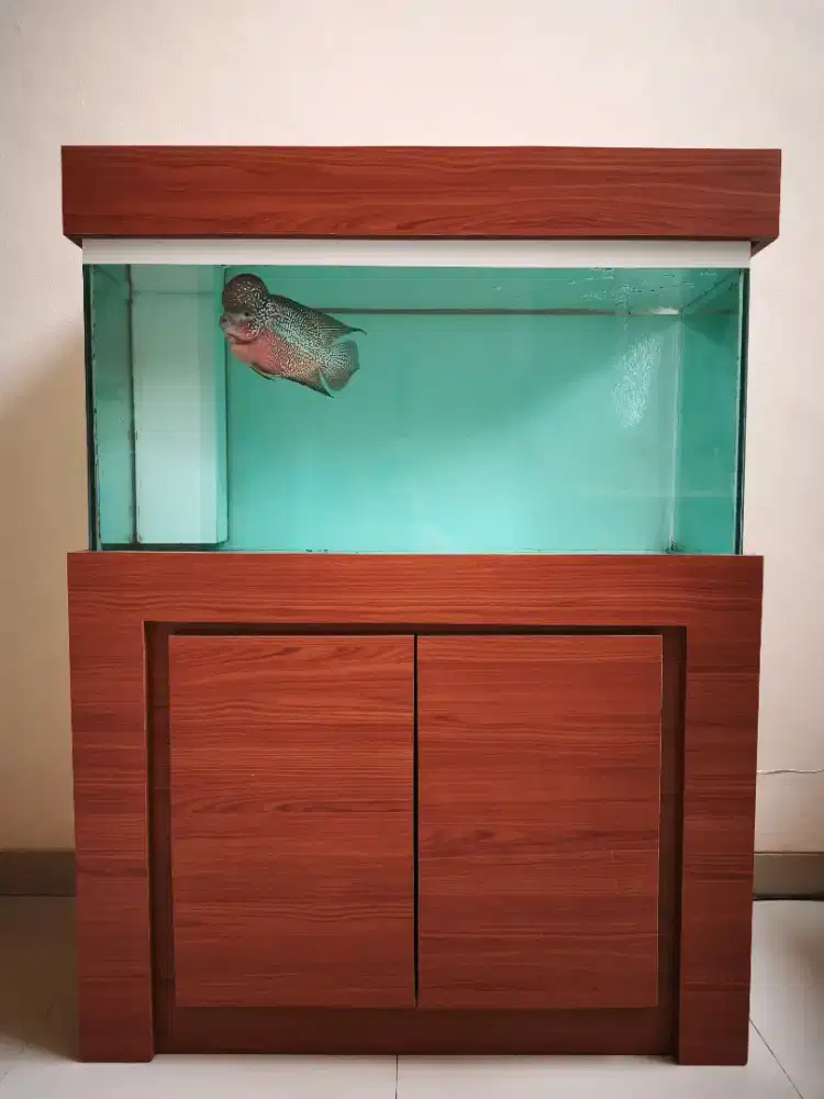 Dijual Aquarium ukuran 100×40x50 Sum Bawah Berikut Ikan Louhan