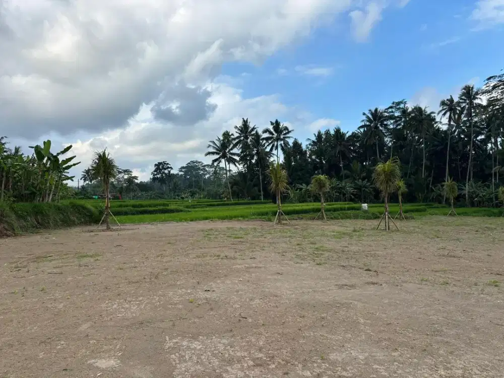 Jual Tanah View Hamparan Sawah Dan Hutan Lokasi Di Pejeng Kelod Jalur Dekat Ke Ubud Bali.