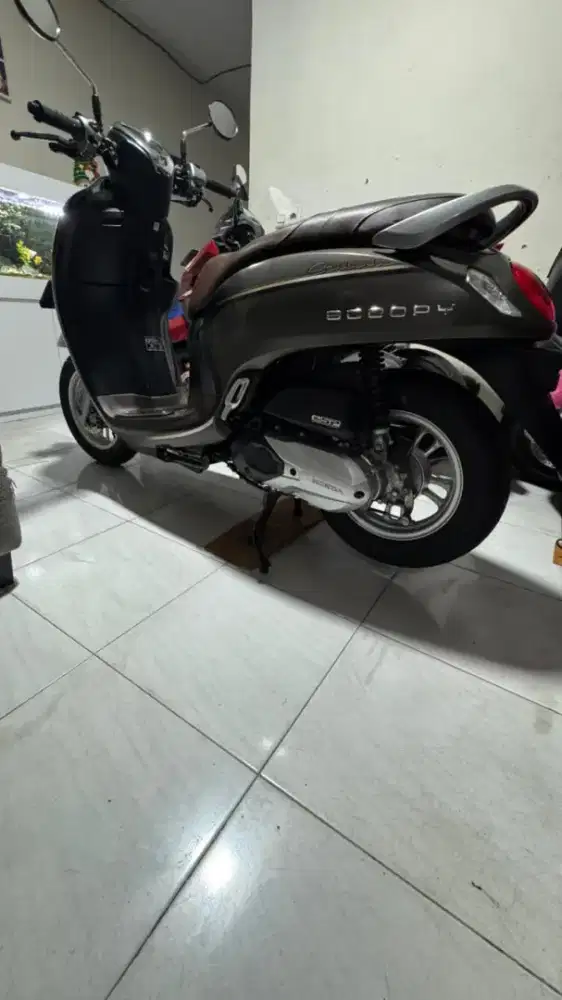 Honda scoopy stylish 2023
