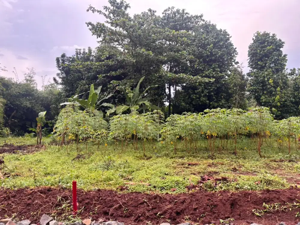 Harga Murah Tanah Kavling SHM 7 Menit Gerbang Toll Burangkeng Bekasi