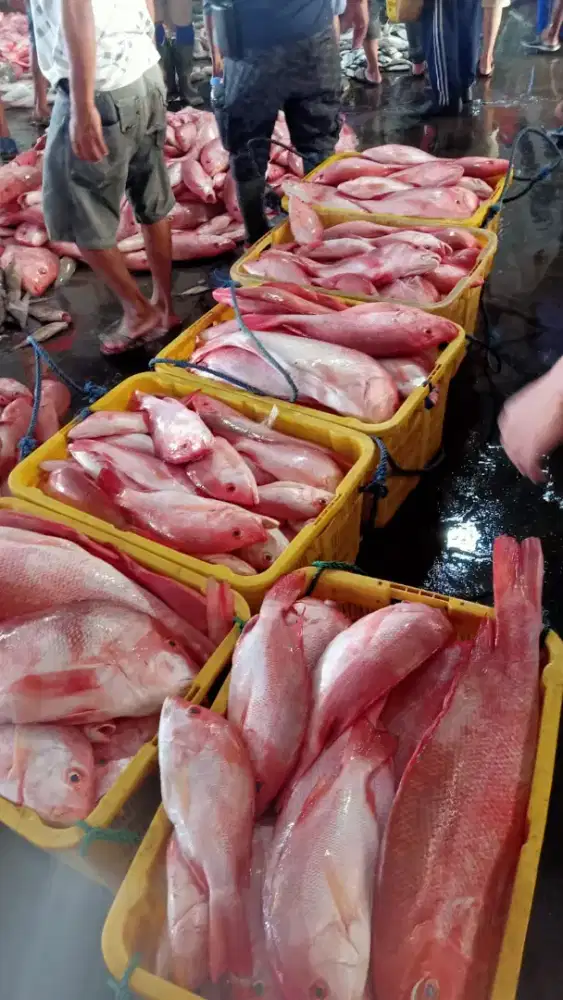 Membutuhkan driver motor