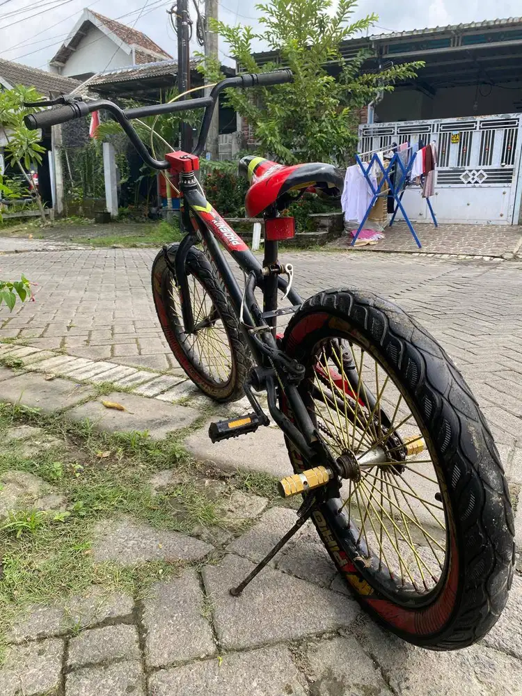 SEPEDA PHOENIX STAR 20 INC