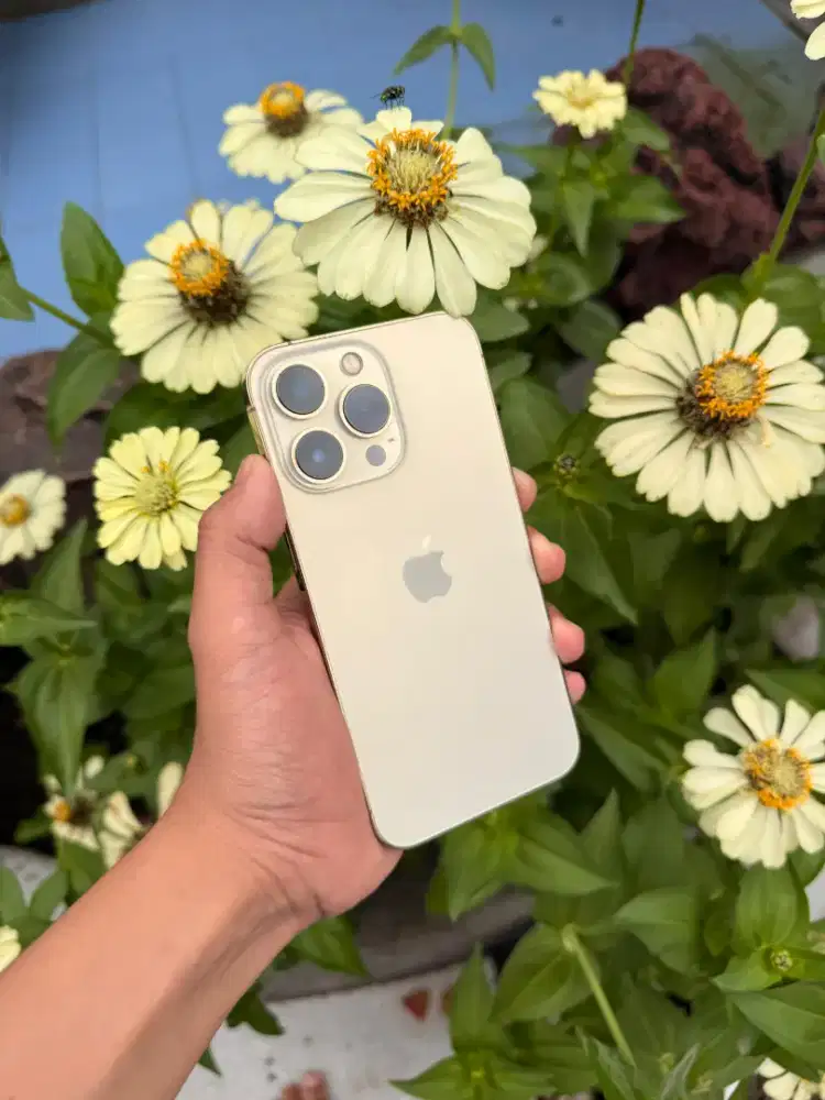 iPhone 13 Pro 256gb No Minus