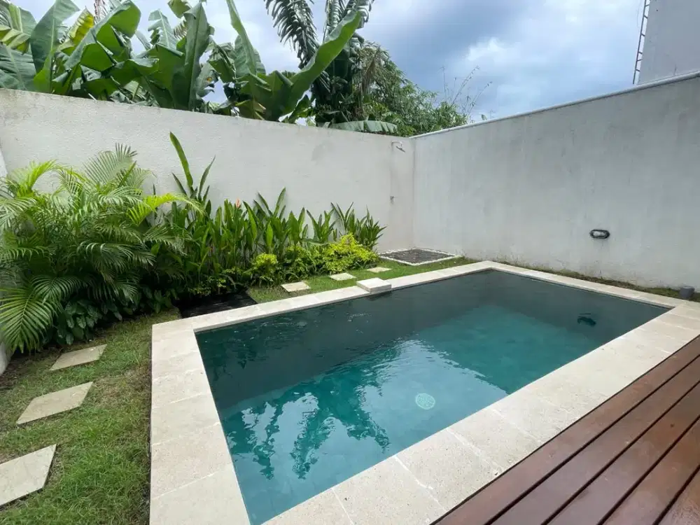 For Sale Villa Brand New Full Furnished And View Sawah Di Area Beji Ayu Seminyak Kuta Bali.