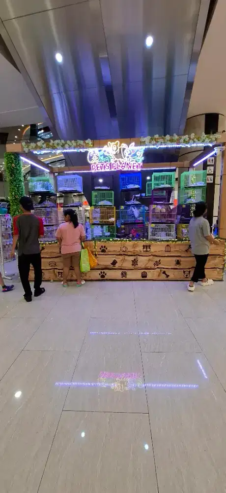 Dicari SPG (Wanita) Untuk Event Pets di Mall kota Kasablanka