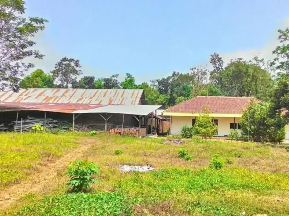 Jual Tanah di Jember Jawa Timur harga BU