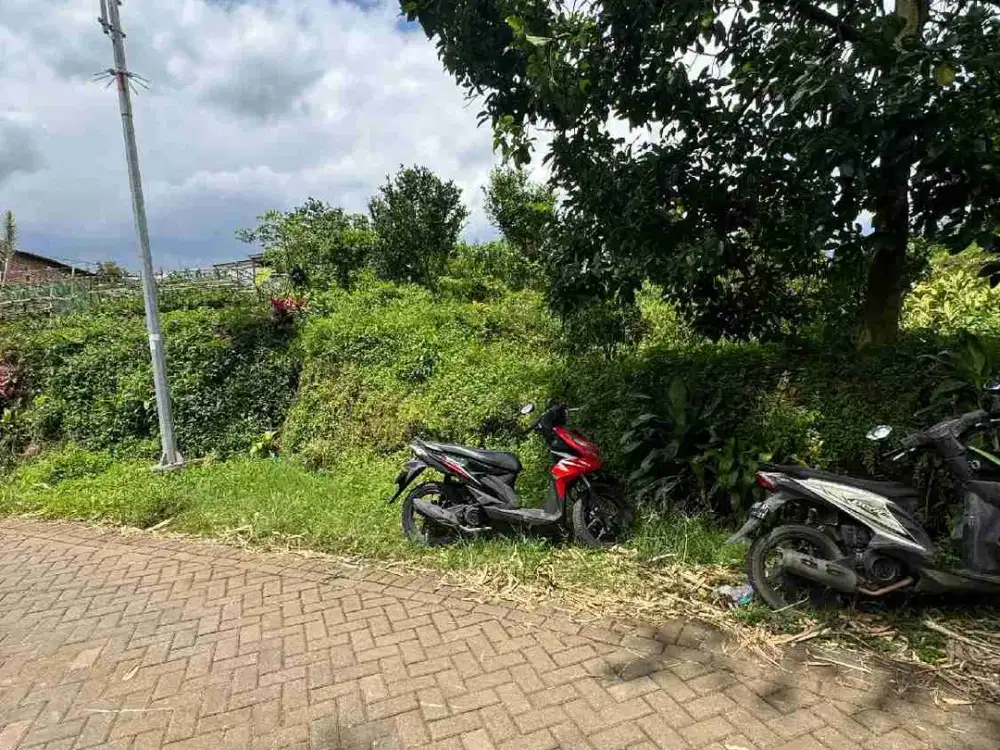 TANAH BATU COCOK UNTUK VILA KEBUN