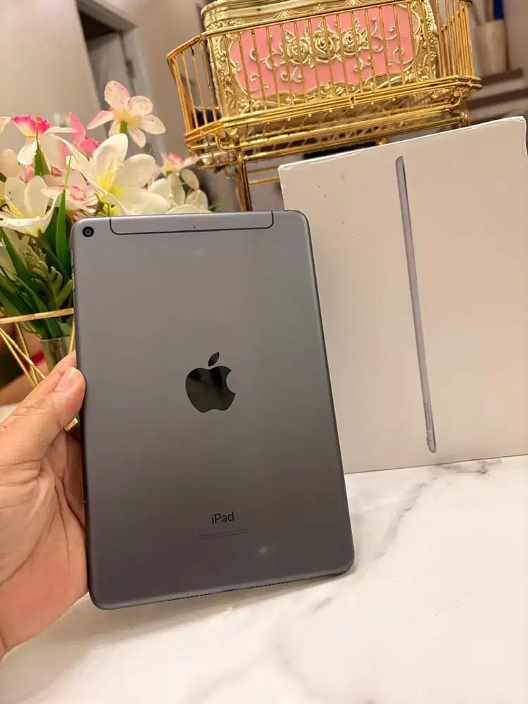 iPad Mini 5 256GB Cellular & Wifi
