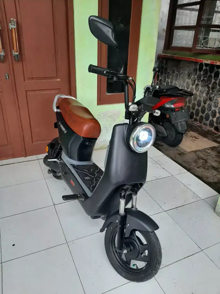 Sepeda Listrik U winfly D8-12