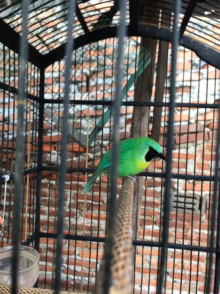 Jual atau BT atau TT boleh