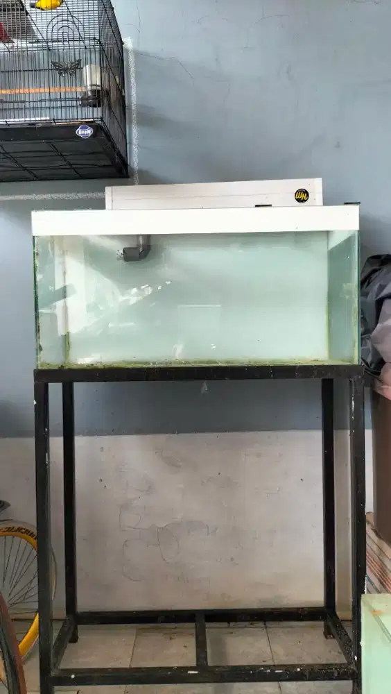 Aquarium barter burung