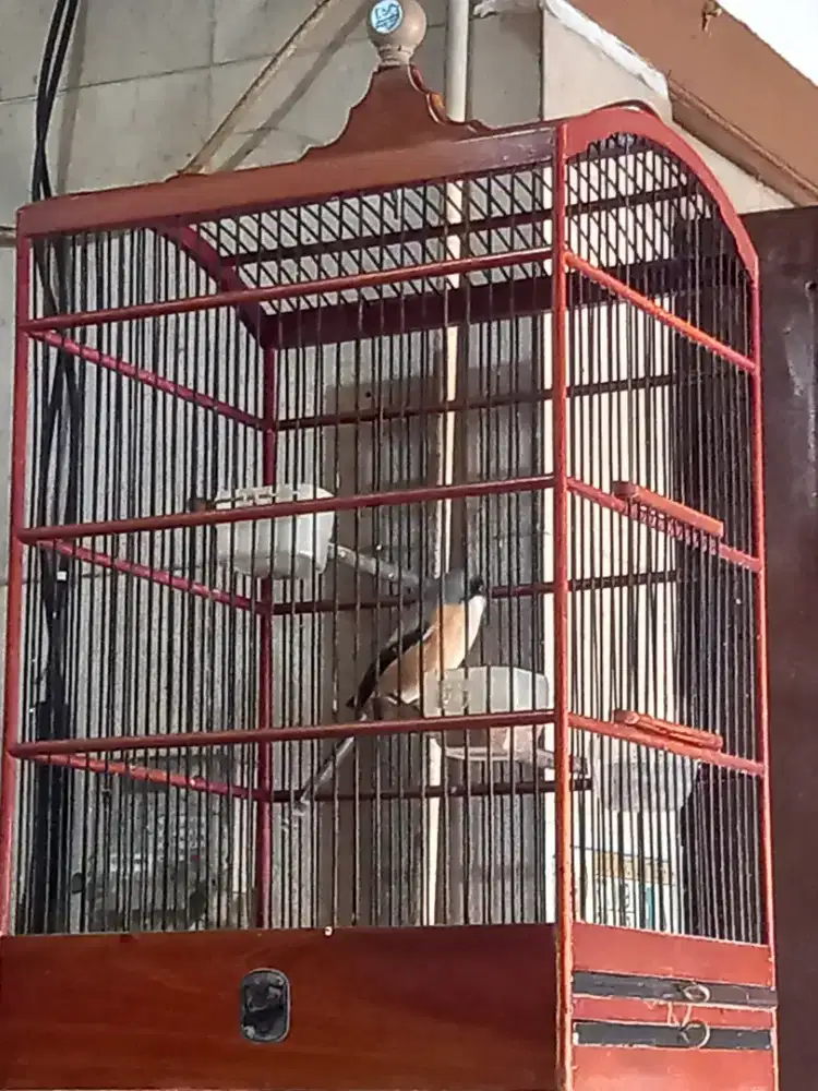 Pentet jatim joss gacor fs.