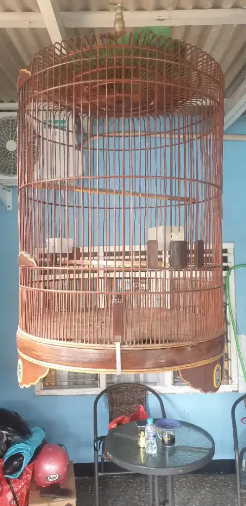 Kandang burung murai