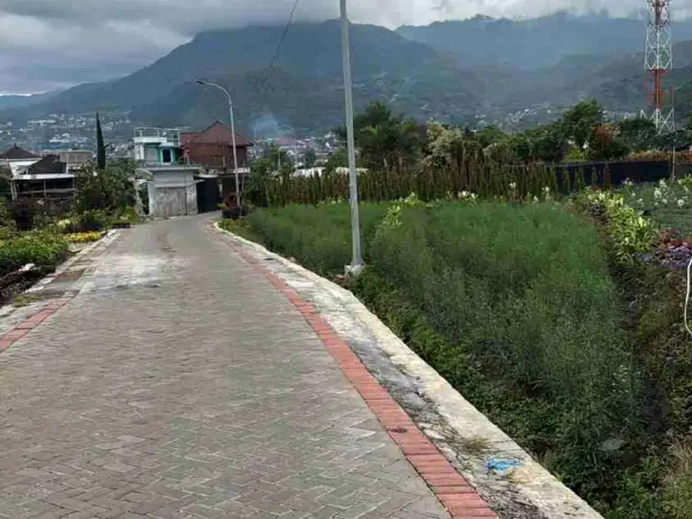 TANAH BATU LUAS 7000 M LAHAN KUNING