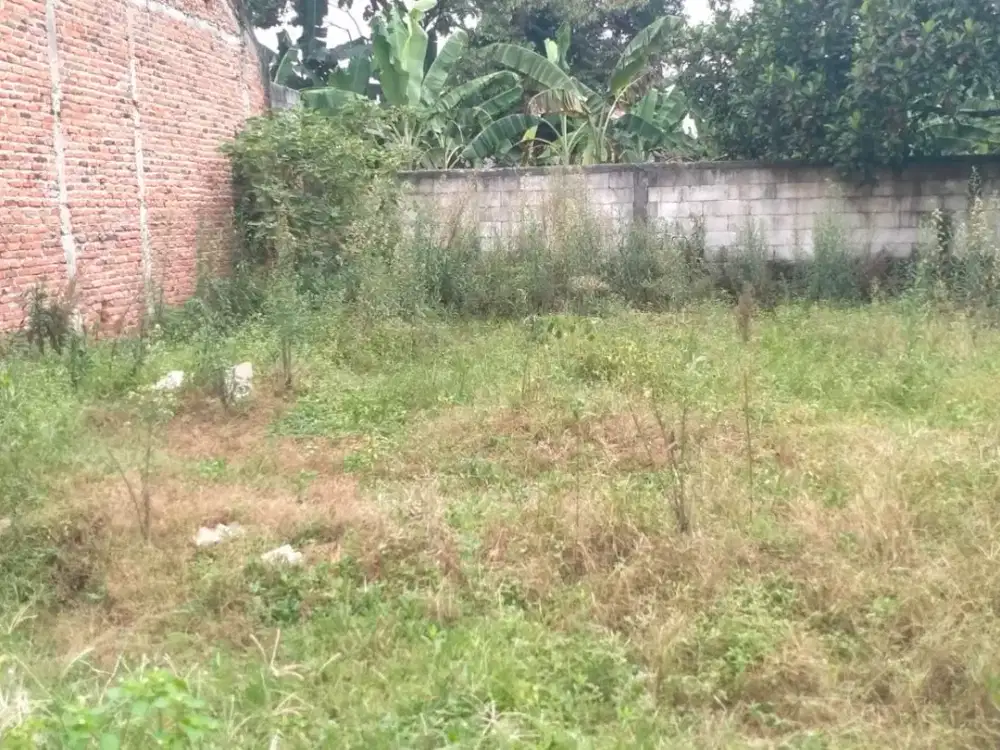 Dijula Kavling Siap Bangun, 5 Menit Jl. Raya Parung - Bogor