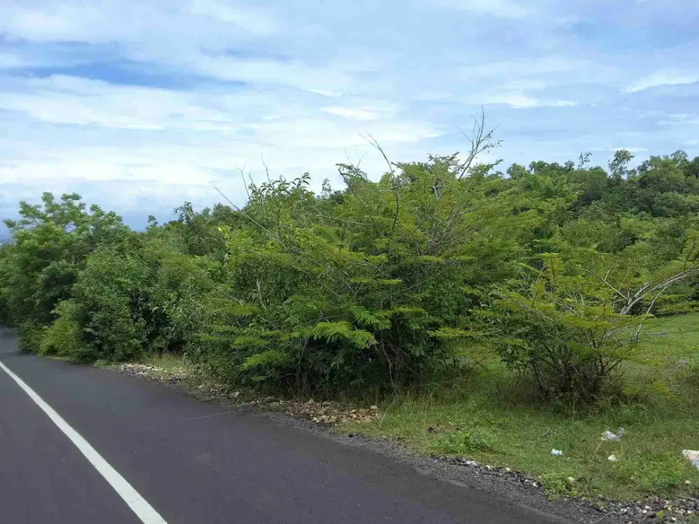 TANAH 4,46 HEKTAR DI KAWASAN JALAN BINGIN SARI JIMBARAN KUTA SELATAN