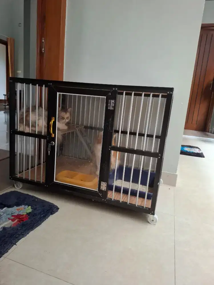 Kandang kucing alumunium 90*60*60 (like new)