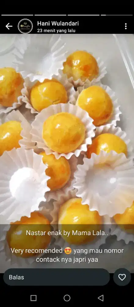 Nastar lezat 500 gram