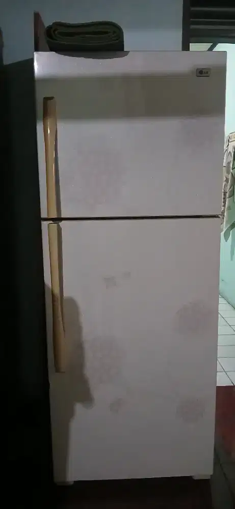 Kulkas LG 2 Pintu