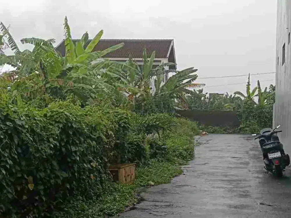 tanah sedap malam Denpasar timur bali