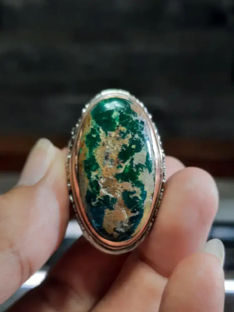 PIRUS HIJAU DONDONG PERSIA