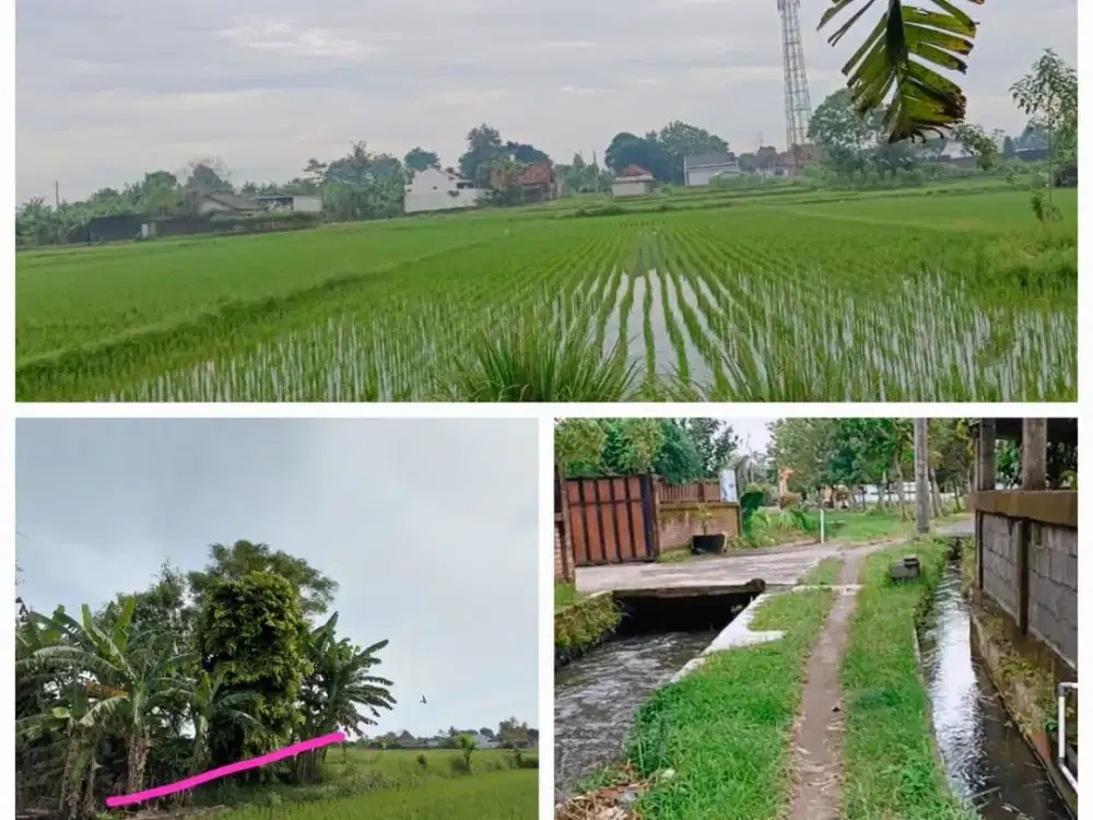Dijual Tanah Sawah Lokasi di Dusun Simping Sidomoyo Dekat Pintu Tol