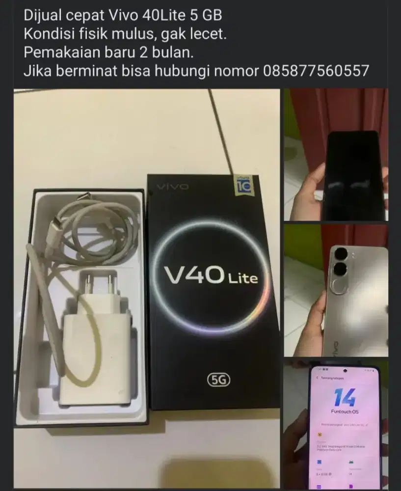 Vivo 40 5G RAM 8/256