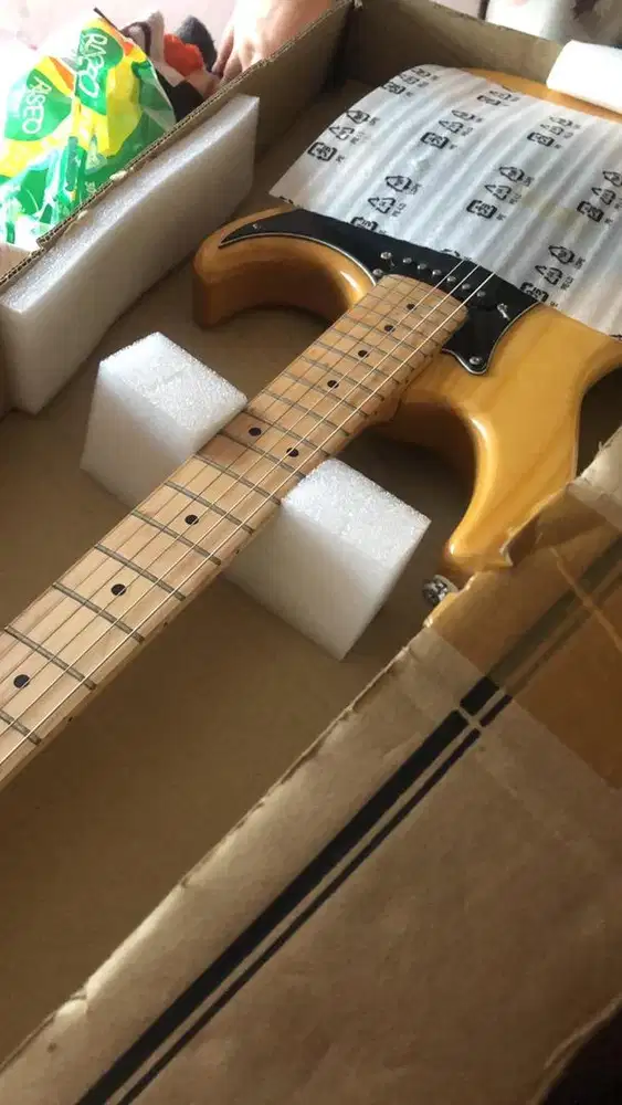 Jual Gitar Listrik Elektrik Cort G200 DX NAT