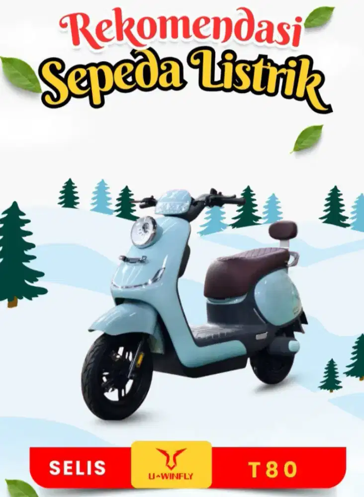 SEPEDA LISTRIK T80 UWINFLY