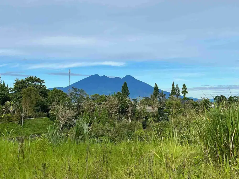 Tanah kavling dijual di jl warudoyong megamendung puncak