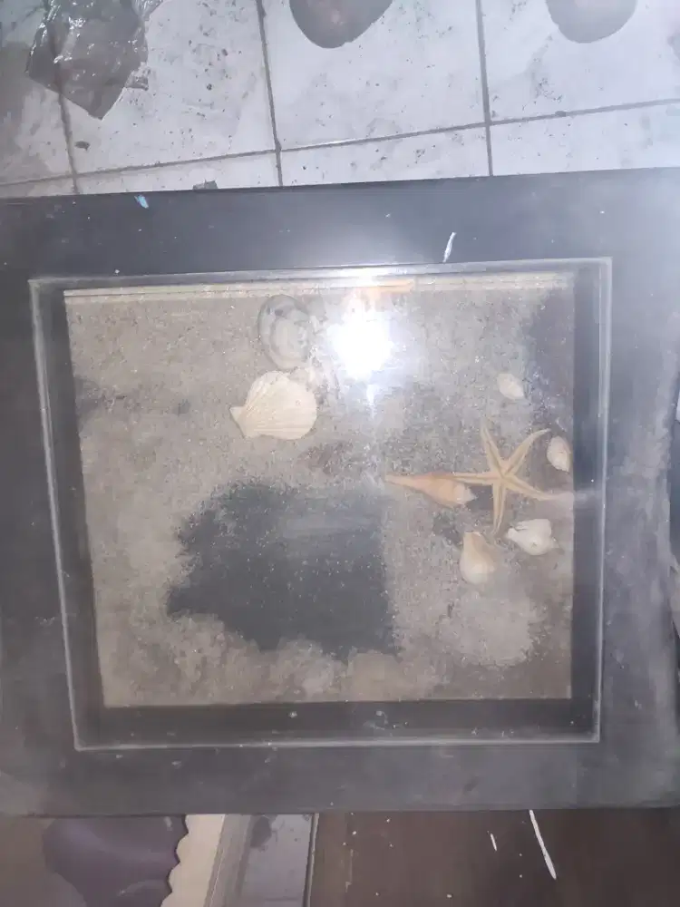 Cepat Murah Meja Sofa Kaca