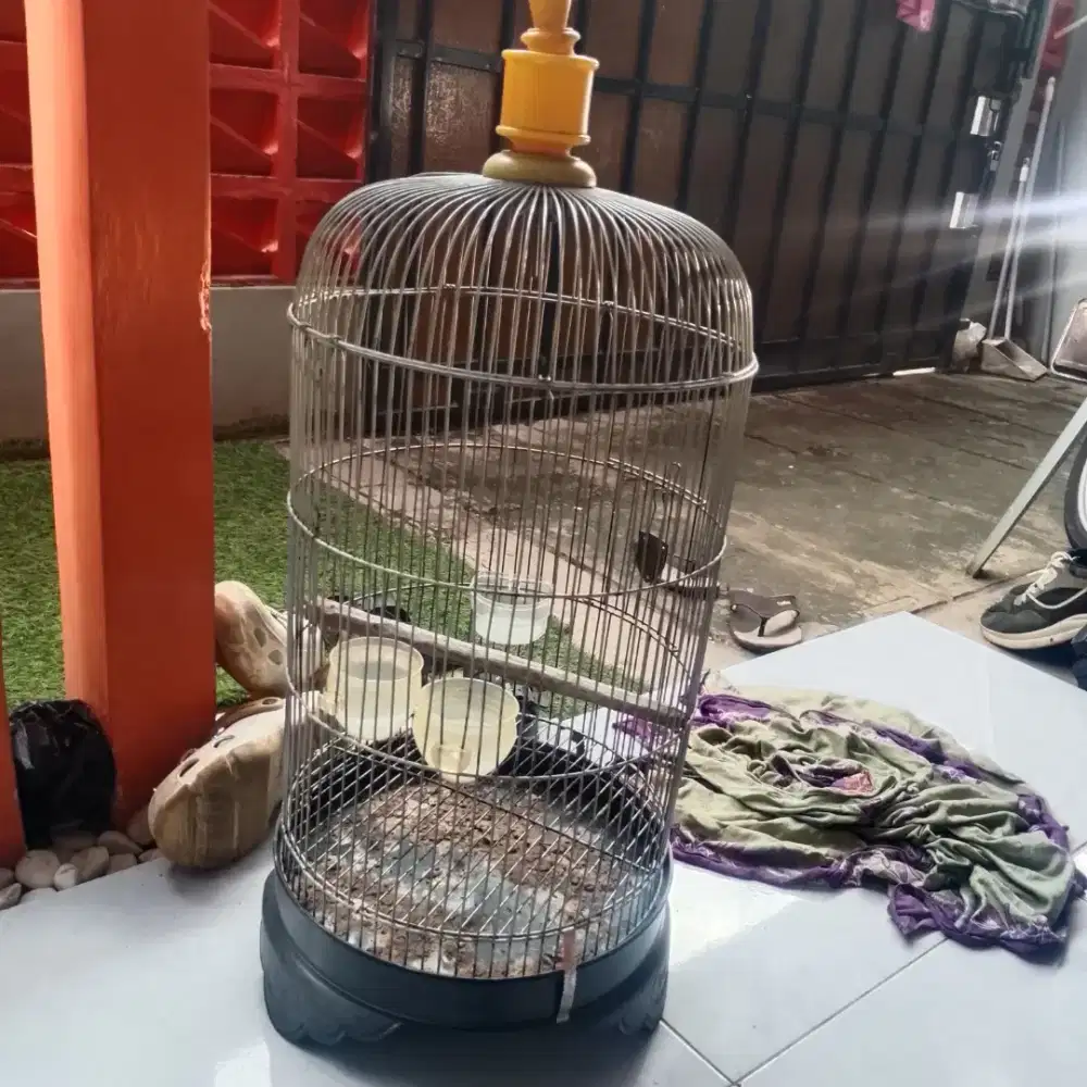 Kandang burung love bird
