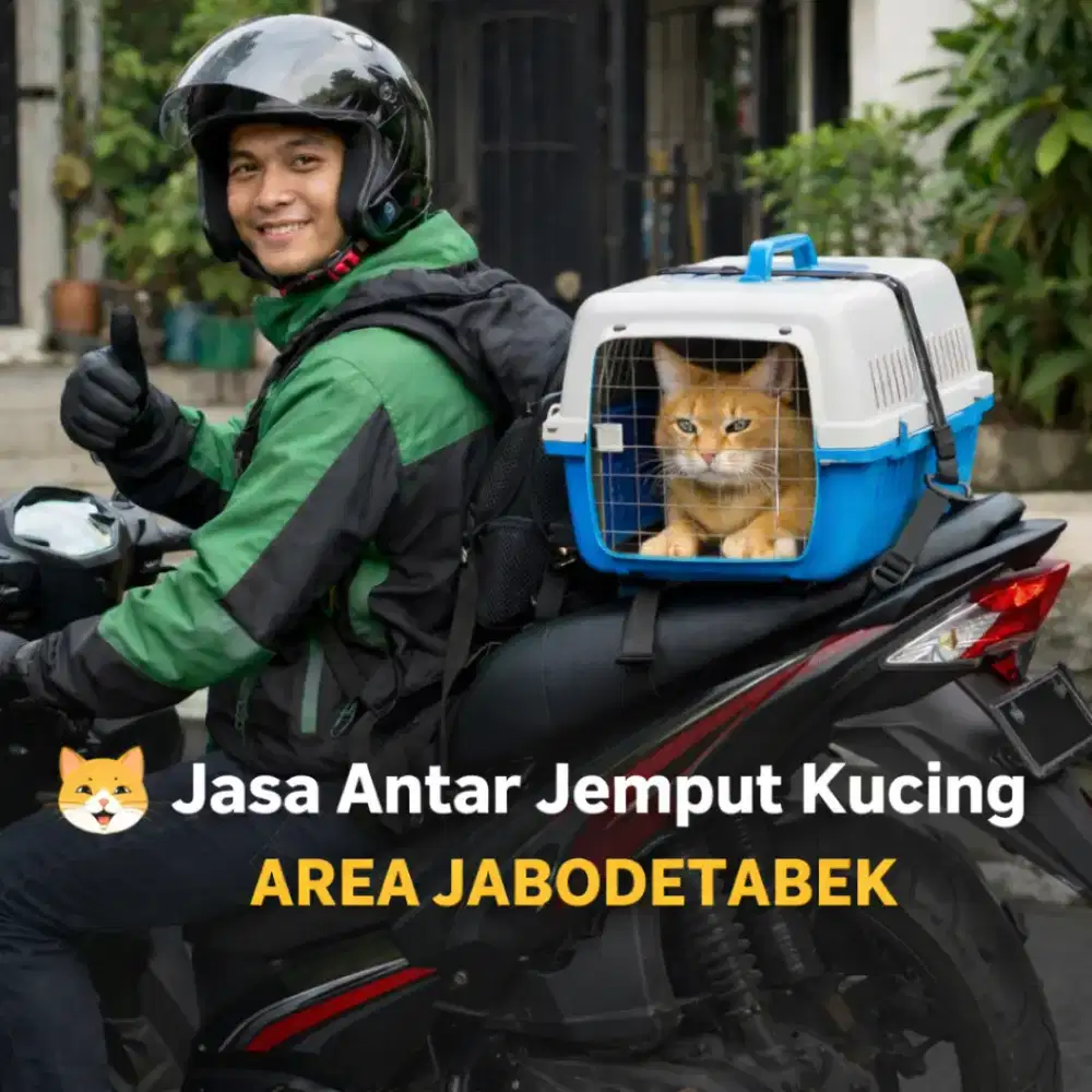 Jasa antar jemput kucing